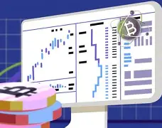 开发者社区动态显示，比特币推动金融数字化进程