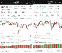SHIB创下年内新高，上扬幅高达20.2%，还能追吗？