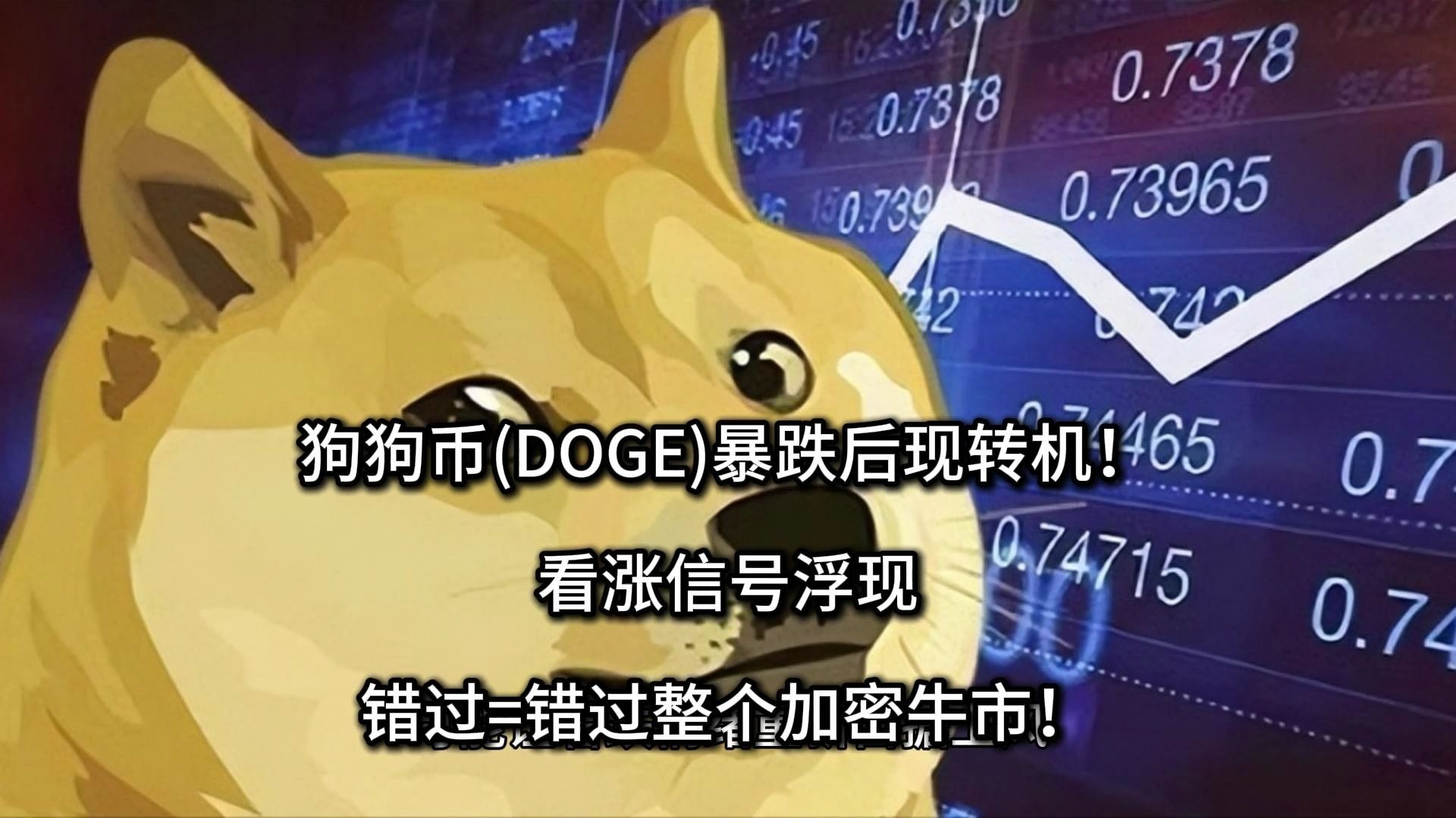 狗狗币冲破AVAX美元大关，牛市是否已来临？