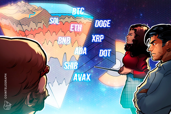 SHIB再创新高，攀升幅高达AVAX%，还还值得跟进吗？